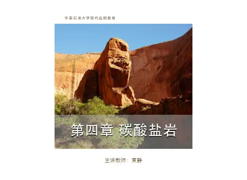 第四章 碳酸盐岩