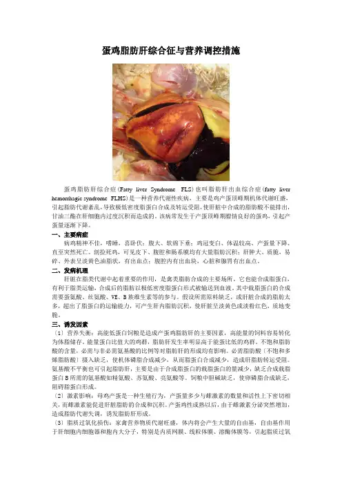 蛋鸡脂肪肝综合征与营养调控措施