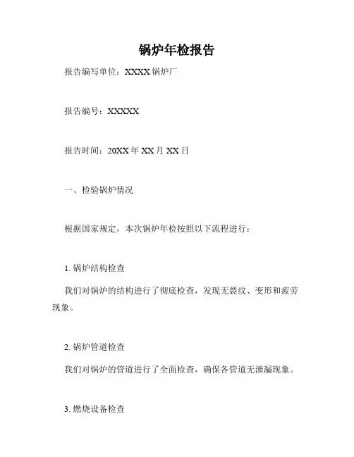锅炉年检报告