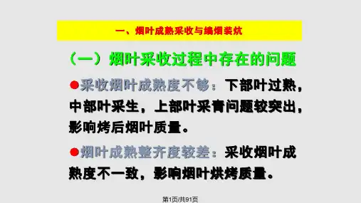 烟叶烘烤技术PPT课件