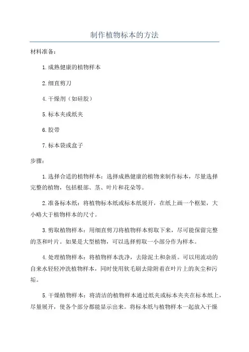 制作植物标本的方法