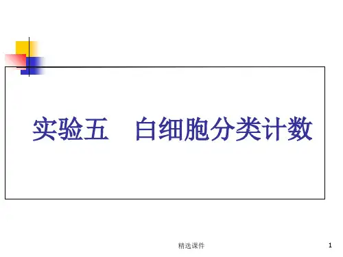 实验五 白细胞分类计数