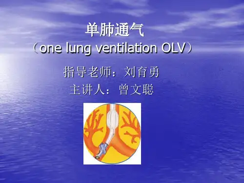 单肺通气