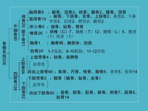 健身教练考试专业知识总结