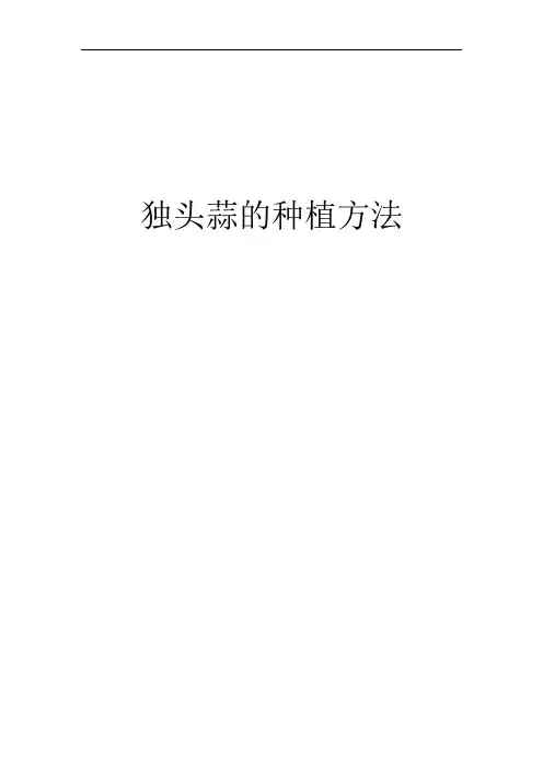 独头蒜的种植方法