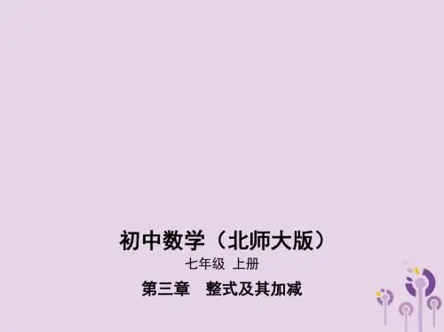 七年级数学上册第三章整式及其加减1字母表示数课件新版北师大版