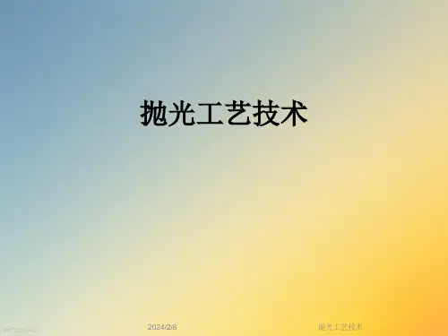 抛光工艺技术