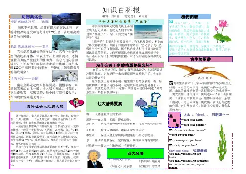 三年级知识百科板报
