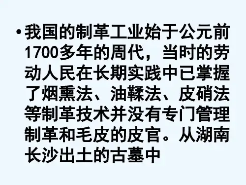 皮革制作工艺流程(超简单易懂)
