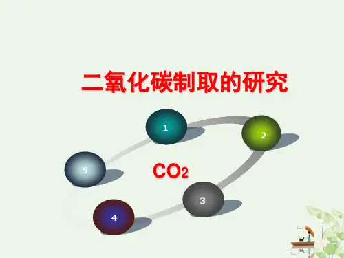 《二氧化碳制取的研究》ppt初中人教版1