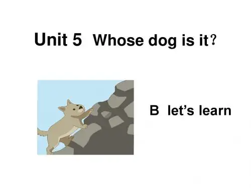 Unit5 Whose dog is it B let's learn公开课优秀课件 最新人教pep版小学五年级英语下册精品ppt