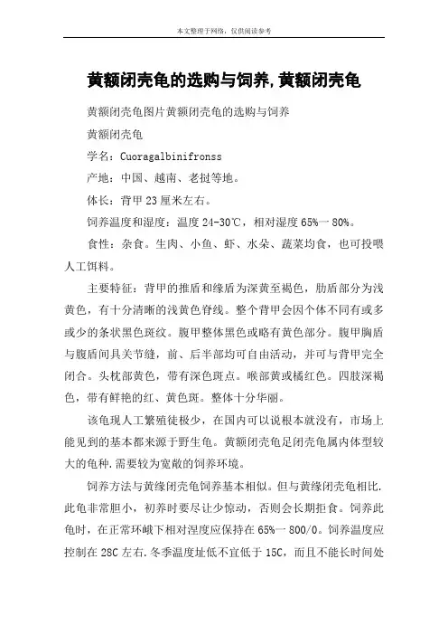黄额闭壳龟的选购与饲养,黄额闭壳龟