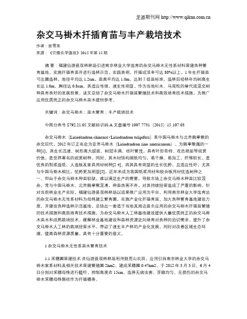 杂交马褂木扦插育苗与丰产栽培技术
