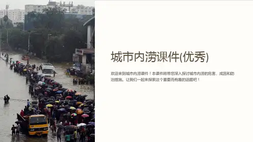 城市内涝课件(优秀)