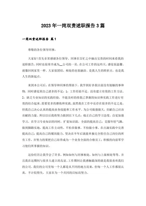2023年一岗双责述职报告3篇