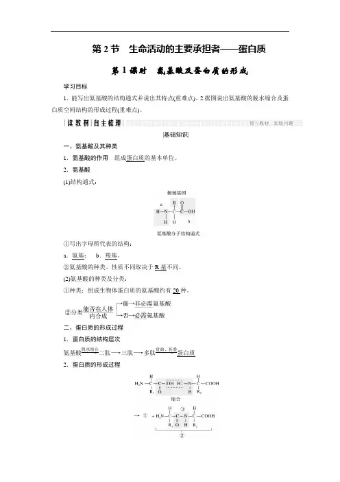 2018版高中生物人教版必修一学案：2.2.1 氨基酸及蛋白质的形成 Word版含答案