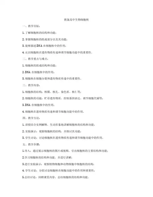教案高中生物细胞核