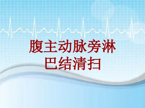 外科手术教学资料：腹主动脉旁淋巴结清扫讲解模板