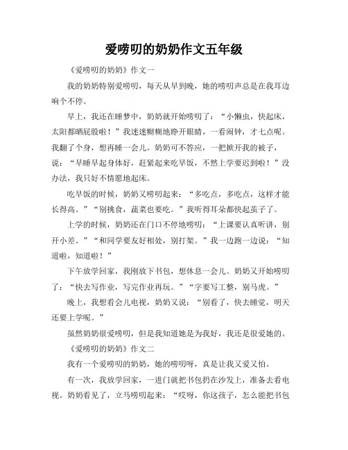 爱唠叨的奶奶作文五年级