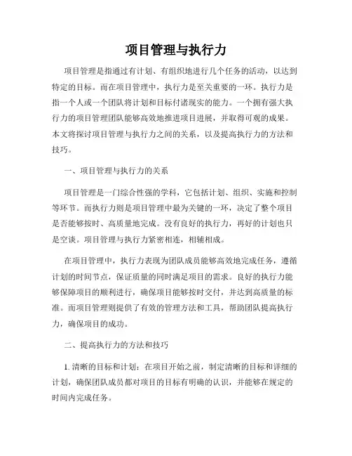 项目管理与执行力
