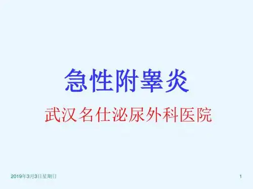 全面解析急性附睾炎-文档资料