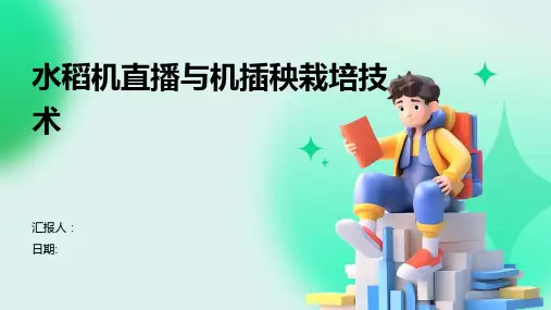 水稻机直播与机插秧栽培技术