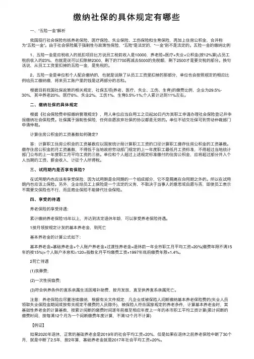 缴纳社保的具体规定有哪些