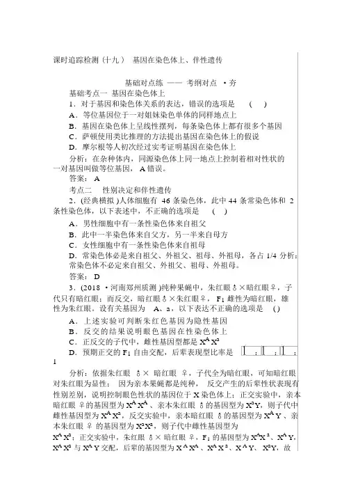 2019版高考生物一轮复习练习：第六单元遗传的分子基础(十九)解析版