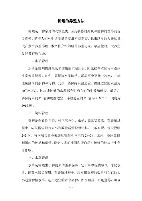 锦鲤的养殖方法
