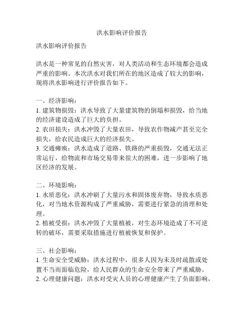 洪水影响评价报告