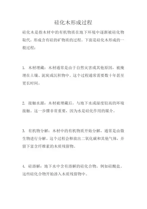 硅化木形成过程
