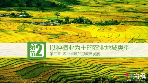 原创4：3.2以种植业为主的农业地域类型