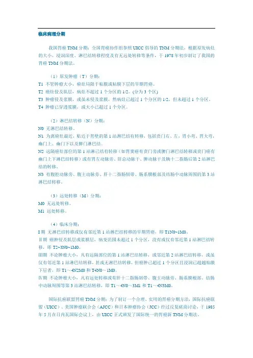 临床病理分期