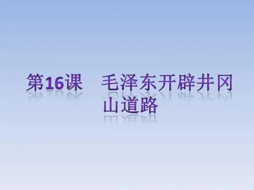 从国共合作到国共对峙PPT精品课件8