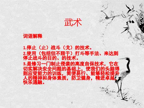 演讲--武术ppt课件