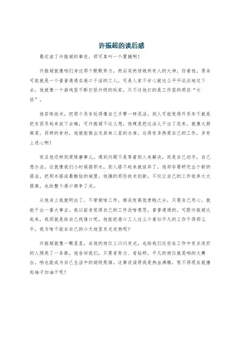 许振超的读后感