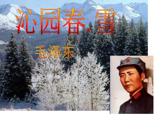 沁园春雪公开课优秀省名师优质课赛课获奖课件市赛课一等奖课件
