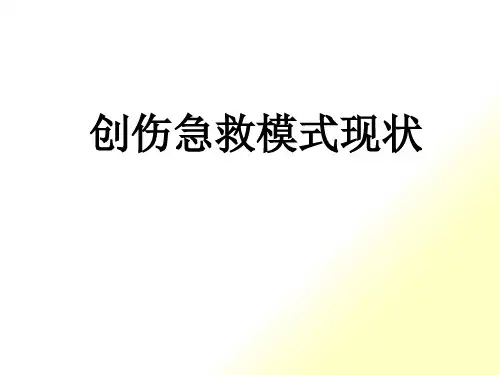 创伤急救模式