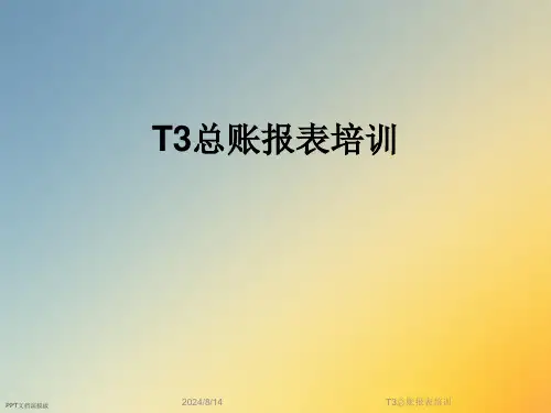 T3总账报表培训