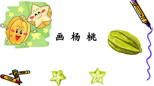 《画杨桃》PPT课件-人教部编版(共17张PPT)