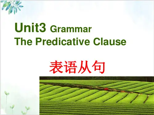 人教高中英语必修3Unit4GrammarPPT课堂课件(17页)