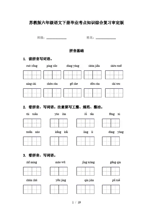 苏教版六年级语文下册毕业考点知识综合复习审定版
