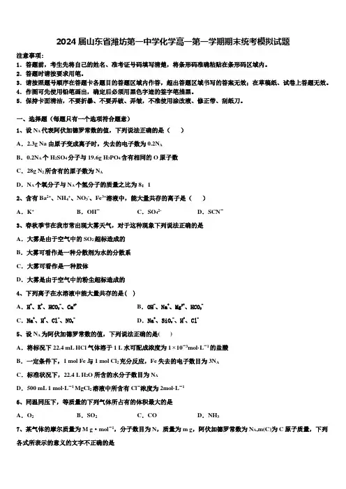 2024届山东省潍坊第一中学化学高一第一学期期末统考模拟试题含解析