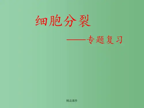 高三生物二轮复习 细胞分裂—专题复习