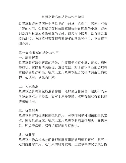 鱼腥草紫苏的功效与作用禁忌