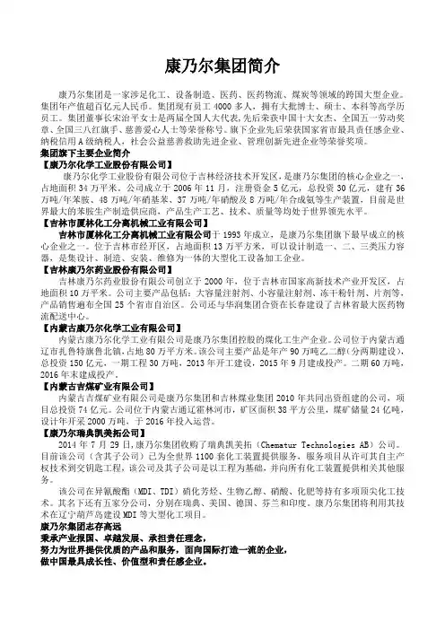 康乃尔集团简介
