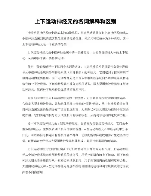 上下运动神经元的名词解释和区别