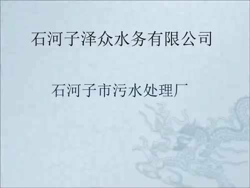 石河子市污水处理厂
