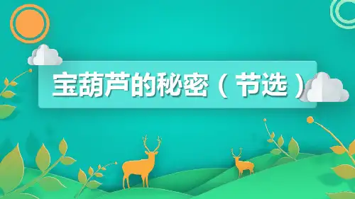 《宝葫芦的秘密》PPT精品课件
