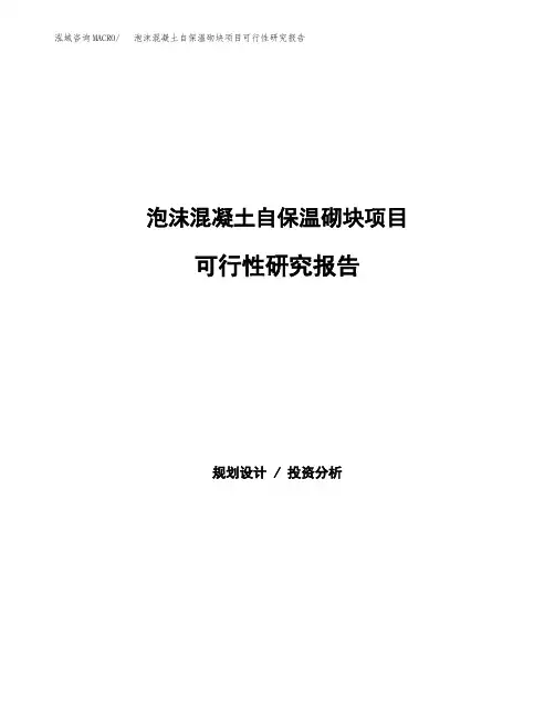 2020年泡沫混凝土自保温砌块项目可行性研究报告